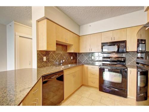 617-8710 Horton Road Sw, Calgary, AB - Indoor Photo Showing Kitchen With Double Sink