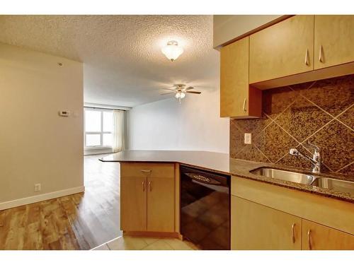 617-8710 Horton Road Sw, Calgary, AB - Indoor Photo Showing Kitchen With Double Sink