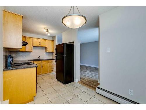 104-1123 13 Avenue Sw, Calgary, AB - Indoor Photo Showing Kitchen With Double Sink