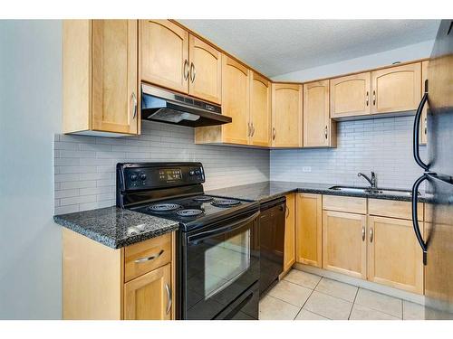 104-1123 13 Avenue Sw, Calgary, AB - Indoor Photo Showing Kitchen With Double Sink