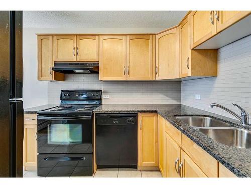 104-1123 13 Avenue Sw, Calgary, AB - Indoor Photo Showing Kitchen With Double Sink