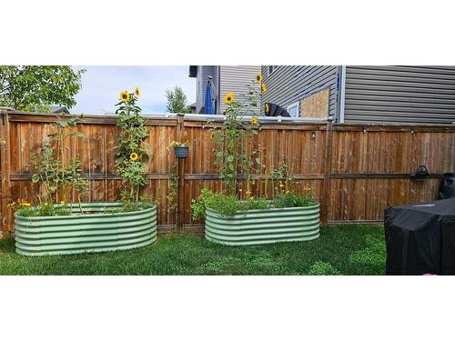 233 Evansdale Landing Nw, Calgary, AB - Outdoor With Backyard