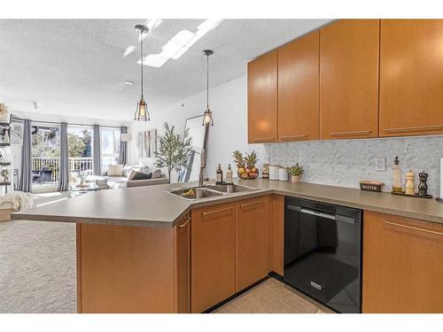 418-35 Richard Court Sw, Calgary, AB - Indoor Photo Showing Kitchen With Double Sink