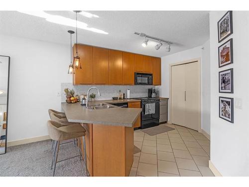 418-35 Richard Court Sw, Calgary, AB - Indoor Photo Showing Kitchen With Double Sink