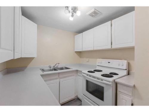 213-5404 10 Avenue Se, Calgary, AB - Indoor Photo Showing Kitchen With Double Sink