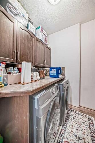 19 Taralake Mews Ne, Calgary, AB - Indoor Photo Showing Laundry Room