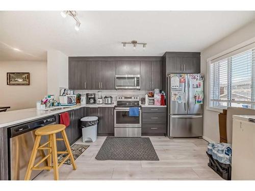 315-31 Red Embers Parade Ne, Calgary, AB - Indoor Photo Showing Kitchen With Stainless Steel Kitchen