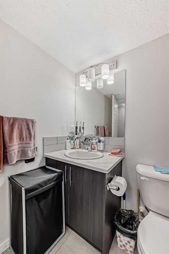 315-31 Red Embers Parade Ne, Calgary, AB - Indoor Photo Showing Bathroom