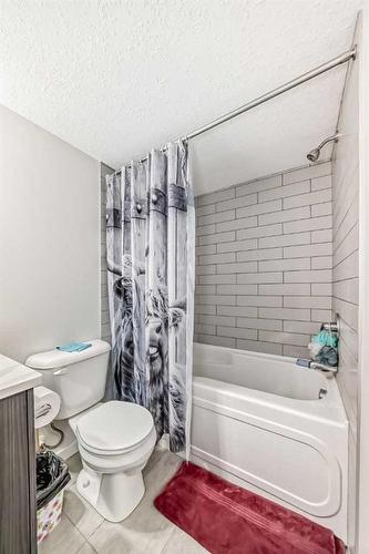 315-31 Red Embers Parade Ne, Calgary, AB - Indoor Photo Showing Bathroom