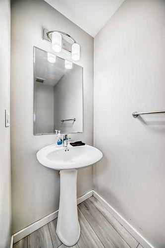 315-31 Red Embers Parade Ne, Calgary, AB - Indoor Photo Showing Bathroom