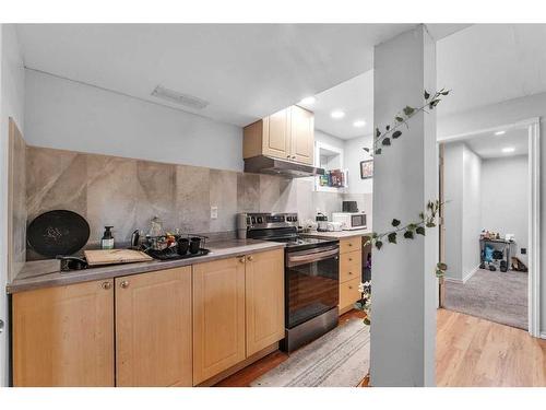 100 Martinvalley Crescent Ne, Calgary, AB - Indoor Photo Showing Kitchen