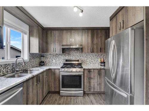 100 Martinvalley Crescent Ne, Calgary, AB - Indoor Photo Showing Kitchen With Double Sink With Upgraded Kitchen