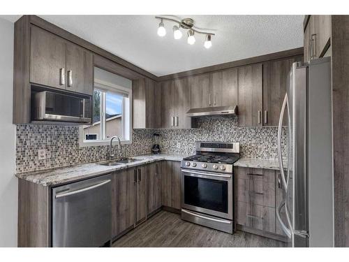 100 Martinvalley Crescent Ne, Calgary, AB - Indoor Photo Showing Kitchen With Upgraded Kitchen