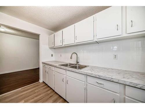 6303 Penbrooke Drive Se, Calgary, AB - Indoor Photo Showing Kitchen With Double Sink