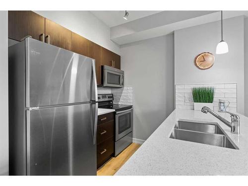 201-117 Copperpond Common Se, Calgary, AB - Indoor Photo Showing Kitchen With Double Sink