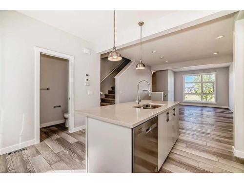 118 Walden Lane Lane Se, Calgary, AB - Indoor Photo Showing Kitchen With Double Sink With Upgraded Kitchen