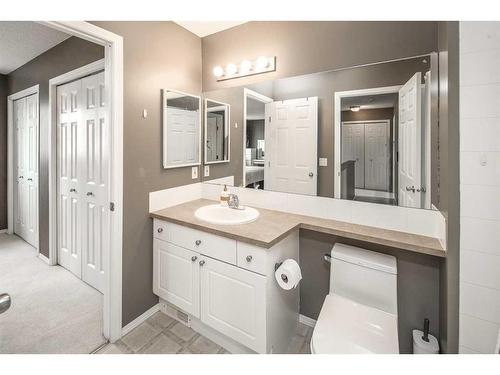 362 Copperfield Grove Se, Calgary, AB - Indoor Photo Showing Bathroom