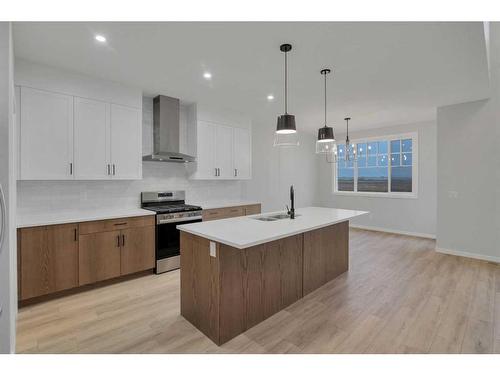 232 Belvedere Drive Se, Calgary, AB - Indoor Photo Showing Kitchen With Double Sink With Upgraded Kitchen