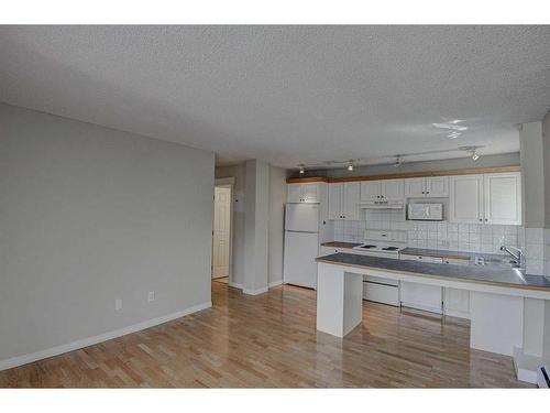 203-126 24 Avenue Sw, Calgary, AB - Indoor Photo Showing Kitchen With Double Sink