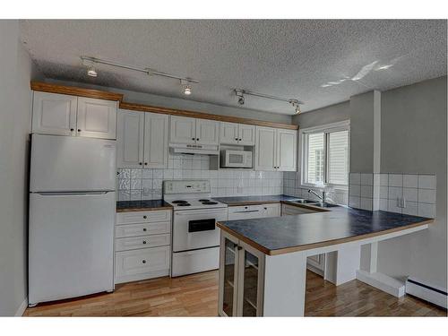 203-126 24 Avenue Sw, Calgary, AB - Indoor Photo Showing Kitchen With Double Sink