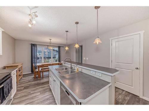 122 Silverado Range View Sw, Calgary, AB - Indoor Photo Showing Kitchen With Double Sink