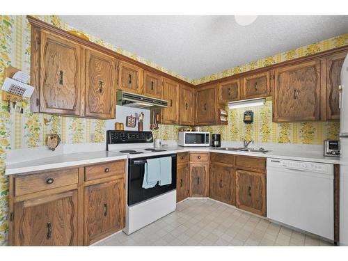 56-10910 Bonaventure Drive Se, Calgary, AB - Indoor Photo Showing Kitchen With Double Sink