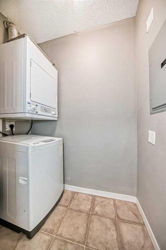 2114-333 Taravista Drive Ne, Calgary, AB - Indoor Photo Showing Laundry Room