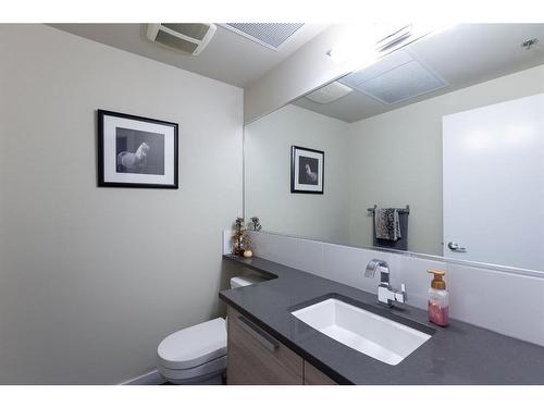 115-235 9A Street Nw, Calgary, AB - Indoor Photo Showing Bathroom