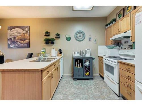 110-3 Parklane Way, Strathmore, AB - Indoor Photo Showing Kitchen With Double Sink