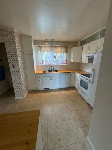 4004 21 Avenue Se, Calgary, AB - Indoor Photo Showing Kitchen With Double Sink