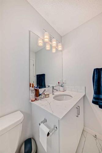 502-137 Red Embers Link Ne, Calgary, AB - Indoor Photo Showing Bathroom