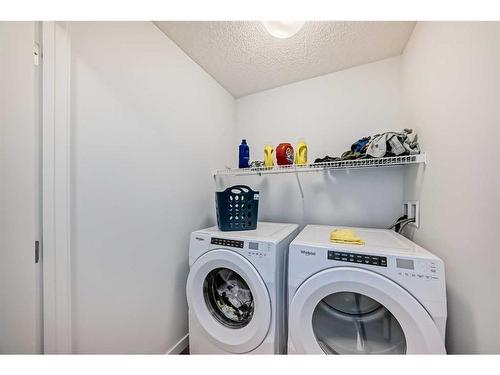 502-137 Red Embers Link Ne, Calgary, AB - Indoor Photo Showing Laundry Room