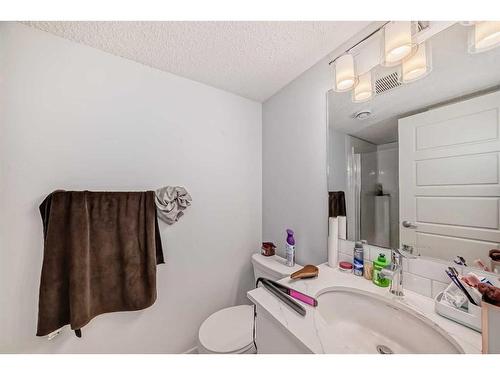 502-137 Red Embers Link Ne, Calgary, AB - Indoor Photo Showing Bathroom