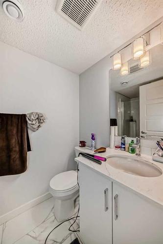 502-137 Red Embers Link Ne, Calgary, AB - Indoor Photo Showing Bathroom