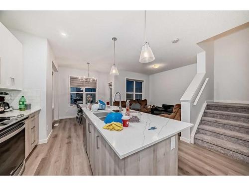 502-137 Red Embers Link Ne, Calgary, AB - Indoor Photo Showing Kitchen With Upgraded Kitchen