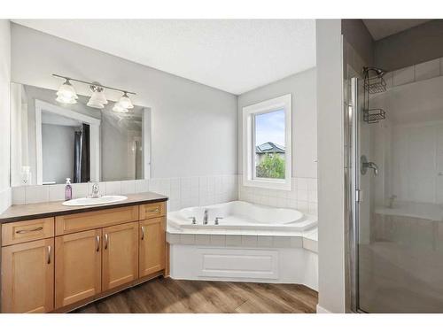 124 Willowmere Way Nw, Chestermere, AB - Indoor Photo Showing Bathroom