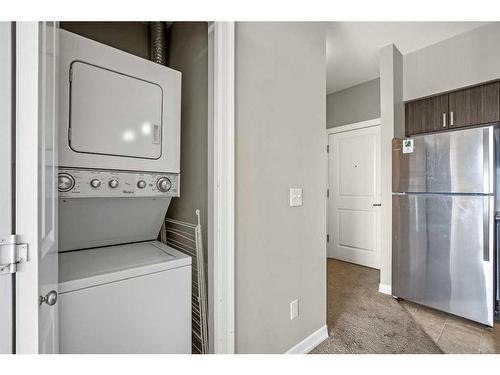 310-117 Copperpond Common Se, Calgary, AB - Indoor Photo Showing Laundry Room