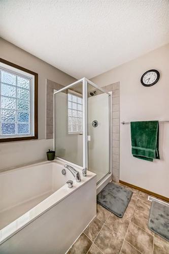 466 Bridlemeadows Common Sw, Calgary, AB - Indoor Photo Showing Bathroom