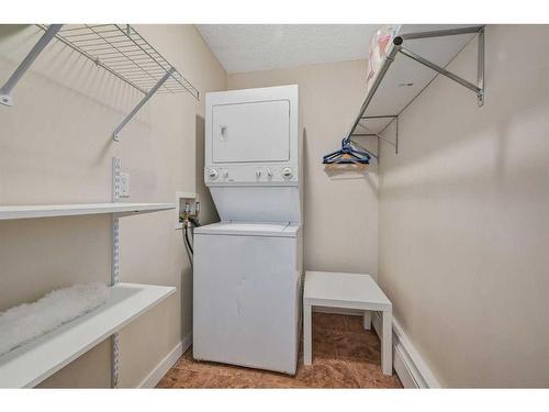 301-2203 14 Street Sw, Calgary, AB - Indoor Photo Showing Laundry Room