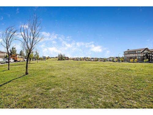 53 Copperpond Landing Se, Calgary, AB - Outdoor With View