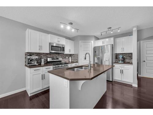 29 Evansridge Place Nw, Calgary, AB - Indoor Photo Showing Kitchen With Double Sink With Upgraded Kitchen