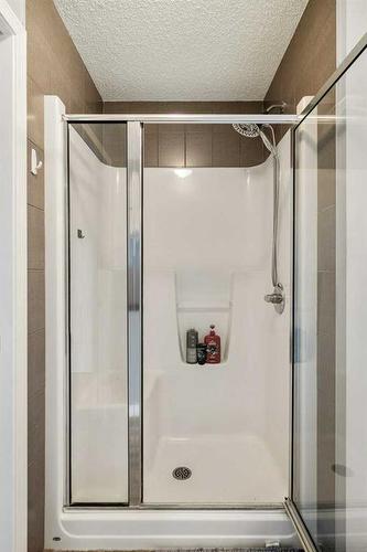 35 Copperfield Common Se, Calgary, AB - Indoor Photo Showing Bathroom