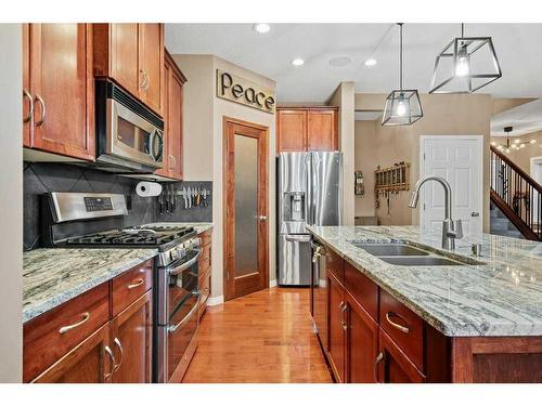 35 Copperfield Common Se, Calgary, AB - Indoor Photo Showing Kitchen With Stainless Steel Kitchen With Double Sink With Upgraded Kitchen