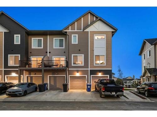 380 Canals Crossing Sw, Airdrie, AB - Outdoor