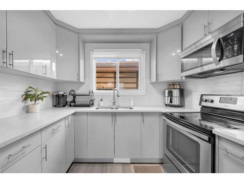 23 Abergale Place Ne, Calgary, AB - Indoor Photo Showing Kitchen With Double Sink