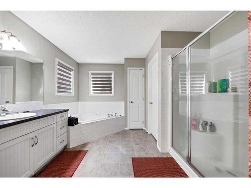 51 Saddlecrest Gardens Ne, Calgary, AB - Indoor Photo Showing Bathroom