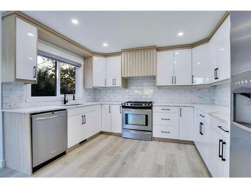 59 Douglas Shore Close Se, Calgary, AB - Indoor Photo Showing Kitchen With Upgraded Kitchen