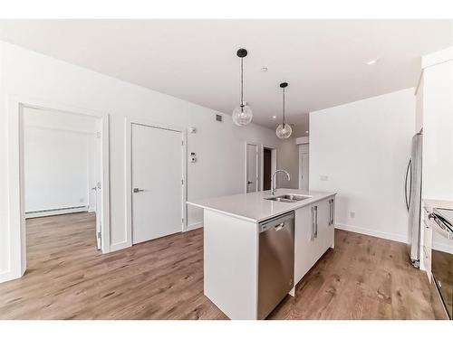 1205-60 Skyview Ranch Road Ne, Calgary, AB - Indoor Photo Showing Kitchen With Double Sink