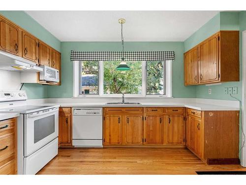 10727 Mapleshire Crescent Se, Calgary, AB - Indoor Photo Showing Kitchen With Double Sink