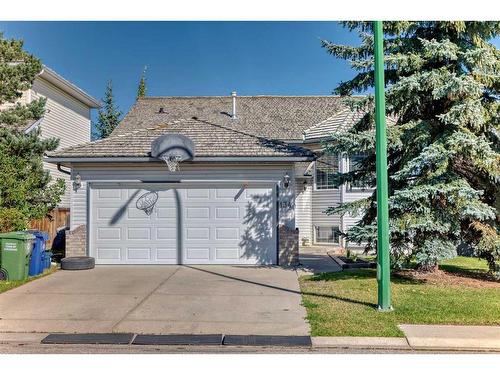 134 Bow Ridge Court, Cochrane, AB - Outdoor